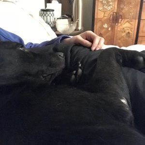 Meet your Posher, Trey